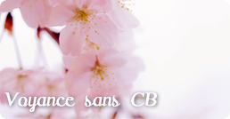 bertrand voyant tarologue